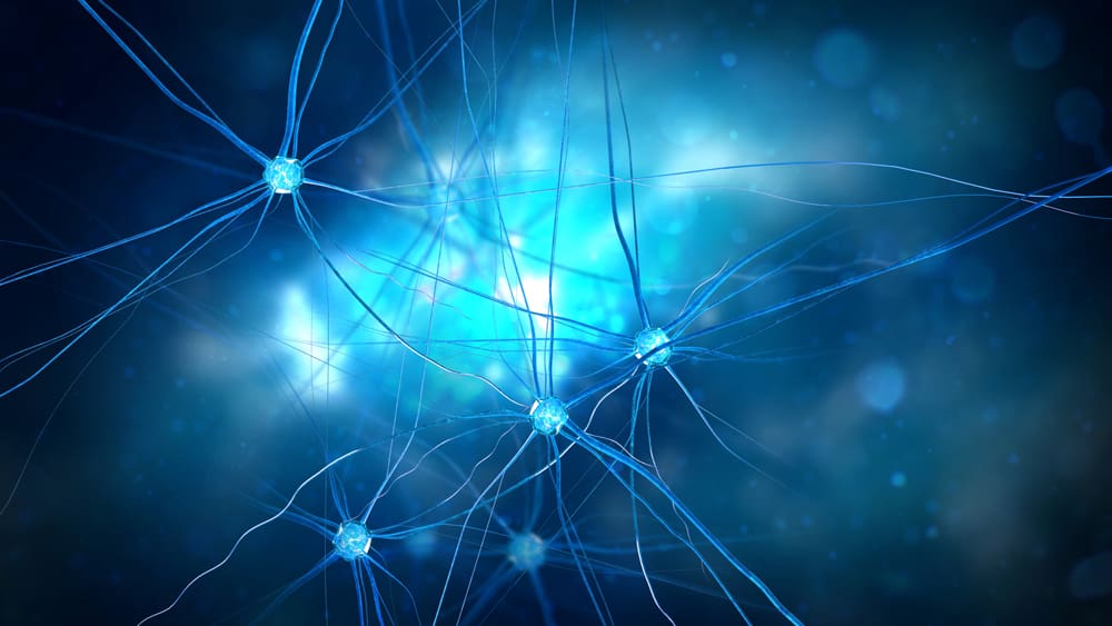 Neural Network Graphic