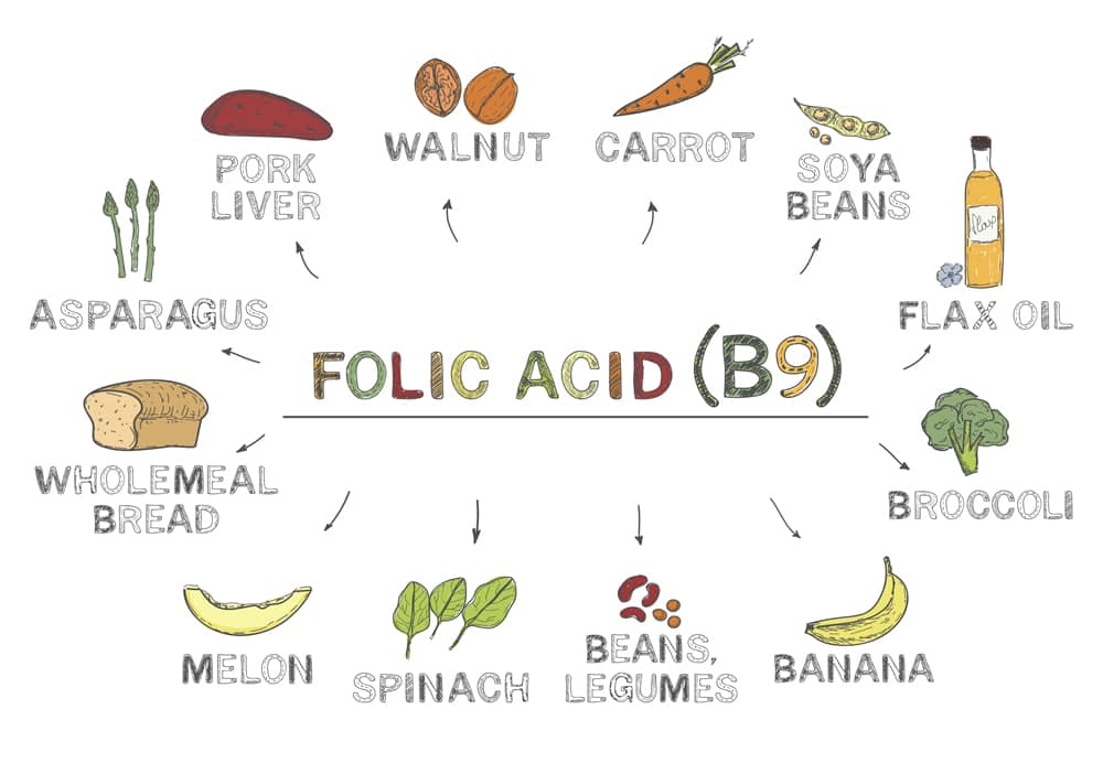 Folic acid graphic