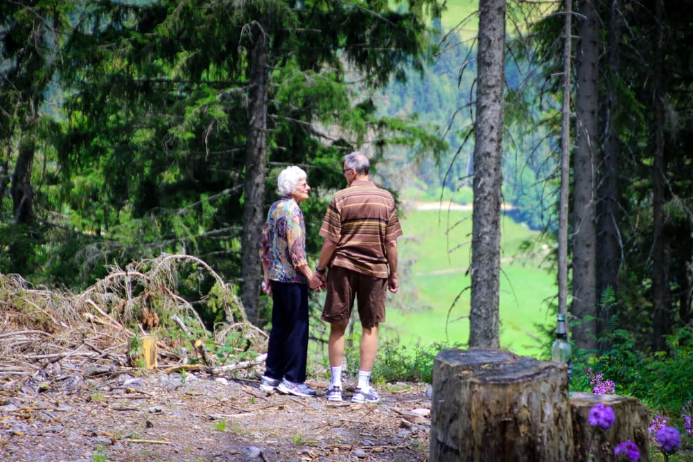 Elderly couple hiking in the woods holding hands