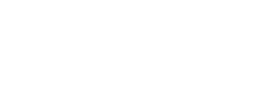 ACHE Logo